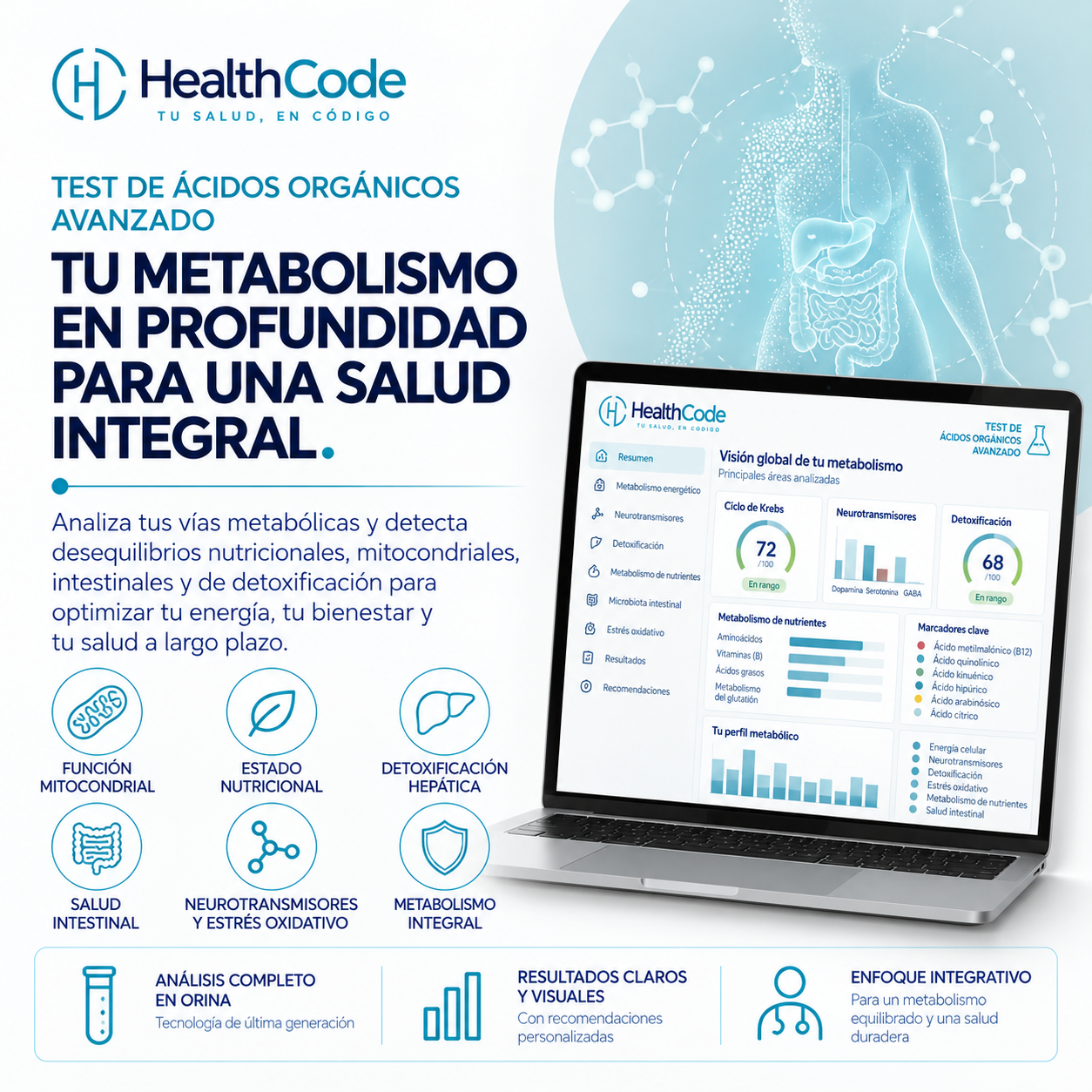 Health Code presentation image for Advanced Organic Acids Test